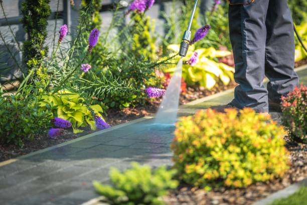 Trusted Cortland, IL Pressure Washing Services Experts