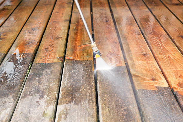 Best Driveway Cleaning and Restoration in Cortland, IL